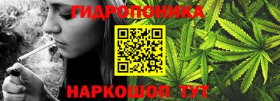 соль ск Гатчина