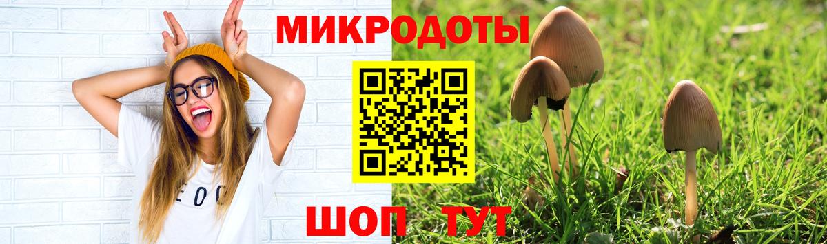 Галлюциногенные грибы прущие грибы  купить наркотики цена  Иваново  Вход с VPN 